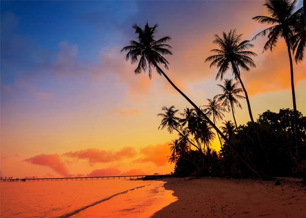 Fire Water And Storm Damage Restoration Contractor In Seattle Wa Fire, Water, and Storm Damage Restoration Contractor in Seattle, WA